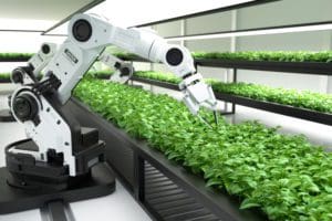 Robotics Farming