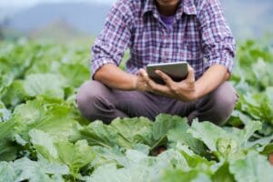 Person using technology for farming