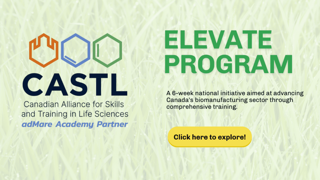 Elevate Program by CASTL
